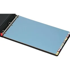 Cardinal Blank Dividers, 8-Tab, Blue/Green/Purple/Red/Yellow (CRD 84251) Online