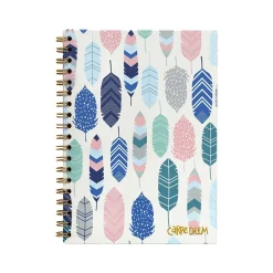 Carpe Diem Feathers 1-Subject Notebook, 7.5" x 9.75", Wide-Ruled, 80 Sheets, Multicolor (9379-CD) Hot