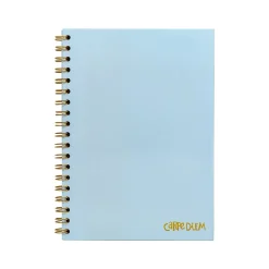 Carpe Diem Sky Blue 1-Subject Notebook, 7.5" x 9.75", Wide-Ruled, 80 Sheets, Blue (9378-CD)