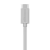 cellhelmet Charge and Sync USB-C to USB-C Cable, 10 Feet (CABLE-R-C-C-10-G)