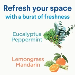 Clorox Disinfecting, Sanitizing and Antibacterial Spray Mist, Eucalyptus Peppermint, 16 Fluid oz. (60152)