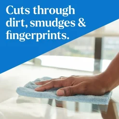 Clorox Pro EcoClean Glass Cleaner, 32 Oz. (60277)