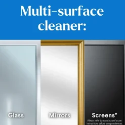 Clorox Pro EcoClean Glass Cleaner, 32 Oz. (60277)