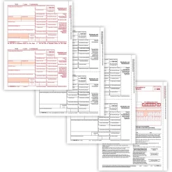 Online 2024 1099-DIV Tax Form Envelopes, 4-Part, 2-Up, Copies A, B, C and/or State, 10/Pack (610710) Tax Forms