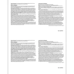 Hot 2024 W-2 Tax Form, 1-Part, 2-Up, Employee Copy B, 50/Pack (520250) Tax Forms