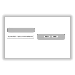 ComplyRight Moistenable Glue Security Tinted Double-Window Tax Envelopes, 5 5/8" x 9", 100/Pack (99991100)* Security Tinted