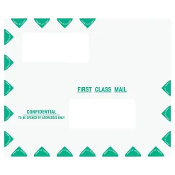 ComplyRight Self-Seal Tax Envelope, 9.5" x 11.5", White/Green, 50/Pack (PEV22)* Business