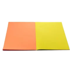 New Project Giant 12