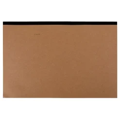 New Project Giant 12