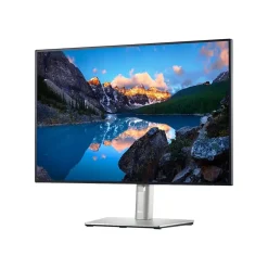 Dell UltraSharp 24" 60 Hz LCD Business Monitor, Silver/Black (U2421ENK)* Flat Monitors
