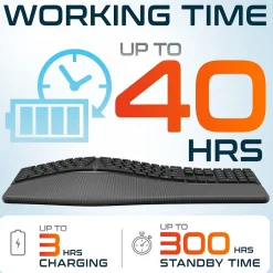 Delton KB250 Ergonomic Wireless Curved Keyboard with Cushioned Wrist Rest, Black (DKBE250-WR)* Ergonomic Keyboards