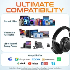 Delton M201 Wireless Active Noise Cancelling Bluetooth Stereo Business Computer Headset, Black (DBHM201D)* Headsets