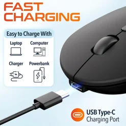 Delton S16 Wireless Ambidextrous Optical 2.4 GHz Mouse, Black (DMS16-WR)* Mice