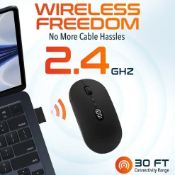 Delton S16 Wireless Ambidextrous Optical 2.4 GHz Mouse, Black (DMS16-WR)* Mice