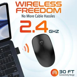 Delton S15 Wireless Ambidextrous Optical 2.4 GHz Mouse, Black (DMS15-WB)* Mice