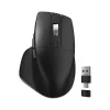 Delton S18 Wireless Optical Mouse, Black (DMS18-WB)* Ergonomic Mice