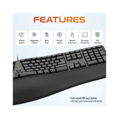 Delton Work Anywhere 10Y Noise Canceling Over-the-Ear Headset Kit (DBND4WRD10Y)* Headsets