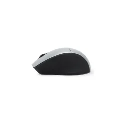 Digital Innovations EasyGlide Ambidextrous Wireless Optical 2.4 GHz Mouse, Black/Silver (GB1747)* Mice
