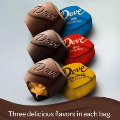 Chocolate<Dove Promises Variety Mix Assorted Flavors Assorted Chocolate Pieces, 31 oz. (220-02022)