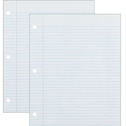 Ecology College Ruled Filler Paper, 8.5" x 11", 3-Hole Punched, 500 Sheets/Pack, 2 Packs/Bundle (PAC2417-2) Outlet