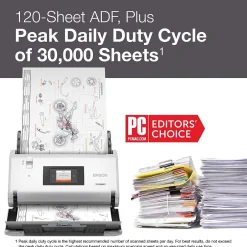 Desktop Scanners<Epson DS-30000 Large-format Duplex Document Scanner, White (B11B256201)