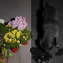 Security Cameras & Systems<eufy SoloCam S230 Outdoor Wireless Solar Security Camera, White (T81241W1)