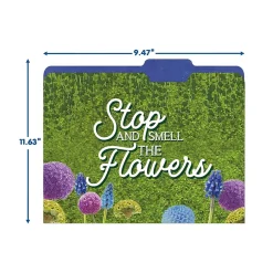 Eureka Curiosity Garden File Folders, 1-Tab, Assorted, Letter Size, 6/Bundle (EU-866450-6) Clearance