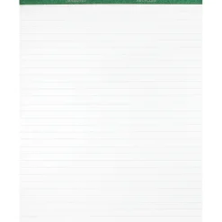 Clearance Easel Pad, 27" x 34", Lined, 50 Sheets/Pad, 2 Pads/Carton (24-034R) Easel Paper Pads