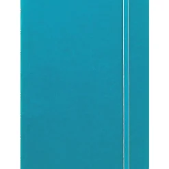 Filofax A5 Classic Bright 4-Subject Professional Notebooks, 5.8