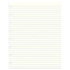 Filofax A5 1-Subject Professional Notebooks, 5.5" x 8.5", College Ruled, 32 Sheets, White (B152008U)