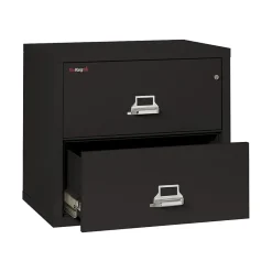 Hot Classic 2-Drawer Lateral File Cabinet, Fire Resistant, Letter/Legal, Black, 31.19"W (2-3122-CBL) File Cabinets