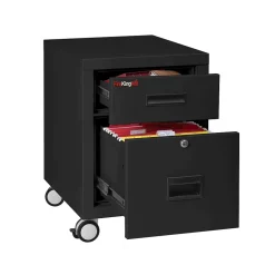 Outlet 2-Drawer Mobile Vertical File Cabinet, Letter/Legal Size, Lockable, Fire Resistant, Black (2M1822-1BL) File Cabinets