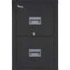Sale ® 2-Drawer Vertical File Cabinet, Letter, Black, 32"D (2P1831CBLI) File Cabinets