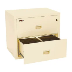 Discount Turtle 2-Drawer Lateral File Cabinet, Fire Resistant, Letter/Legal, Beige, 31.13"W (2R3122-CPA) File Cabinets