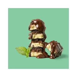 Snacks & Granola Bars<FITCRUNCH Gluten-Free Mint Chocolate Chip High-Protein Baked Bar, 1.62 oz., 9 Bars/Box (FC207E)