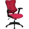 Hot Kale Ergonomic Mesh Swivel High Back Executive Office Chair, Burgundy (BLZP806BY) Office Chairs