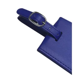 GoGreen Power Travergo Luggage Tag, Blue (TR1260BL)