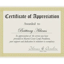 New Channel Border Foil Certificates, 8.5" x 11", Beige/Gold, 15/Pack (963007) Awards & Certificates