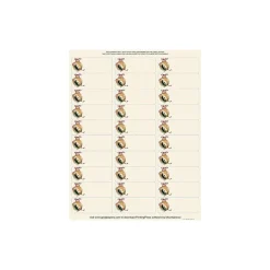 Great Papers Laser/Inkjet Holiday Address Labels, 1" x 2 5/8", Multicolor, 30 Labels/Sheet, 30 Sheets/Pack (2011849)* Address Labels