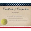 Clearance Patriotic Completion Certificates, 8.5" x 11", Multicolor, 25/Count (2015075) Awards & Certificates