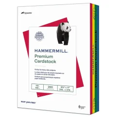 Premium 110 lb. Cardstock Paper, 8.5" x 11", Blue/Green/Red/Yellow, 200 Sheets/Ream (168390R) Card Stock