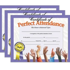 Publishing Certificate of Perfect Attendance, 30 Per Pack, 3 Packs (H-VA613-3) Awards & Certificates