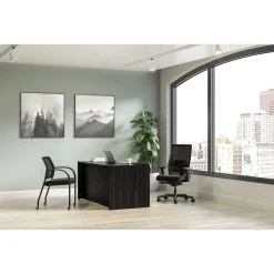 Best Mod 60"W Double-Pedestal Desk, (HLPLDS6030BBFJA1) Computer Desks