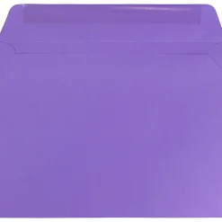 JAM Paper 9 x 12 Booklet Colored Envelopes, Violet Purple Recycled, 25/Pack (1531752)* Business