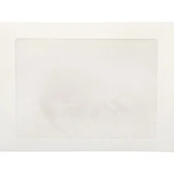 JAM Paper 9 x 12 Booklet Commercial Window Envelopes, White, 50/Pack (223932I)* Window