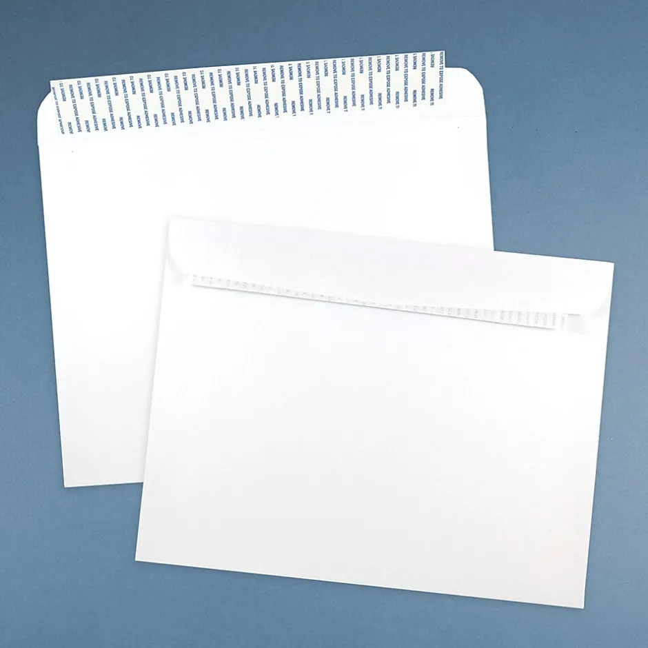 JAM Paper ® 10 x 13 Booklet Envelopes with Peel and Seal Closure, White, 100/Pack (356828787D)* Catalog