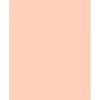 Hot 8.5" x 11" Cardstock, Blush, 50/pack (81211-C-114-50) Card Stock