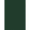 12" x 18" Cardstock, Green Linen, 50/pack (1218-C-GNLI-50) Card Stock