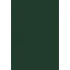 Clearance 11" x 17" Cardstock, 100lb, Green Linen, 50/pack (1117-C-GNLI-50) Card Stock