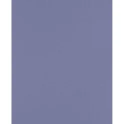 8.5” x 11” Cardstock, 100lb, Wisteria, 50/pack (81211-C-106-50) Card Stock